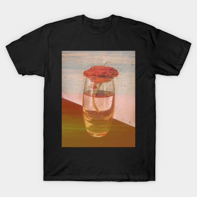 Sunset in a Bottle T-Shirt by Haack Art